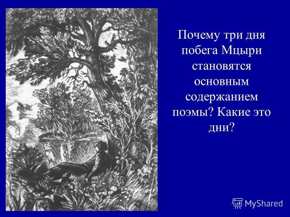 Характеристика и образ мцыри 8 класс (главный герой) сочинение