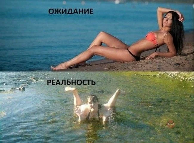 «мечта и реальность»: 8 сочинений для школы 2024 года