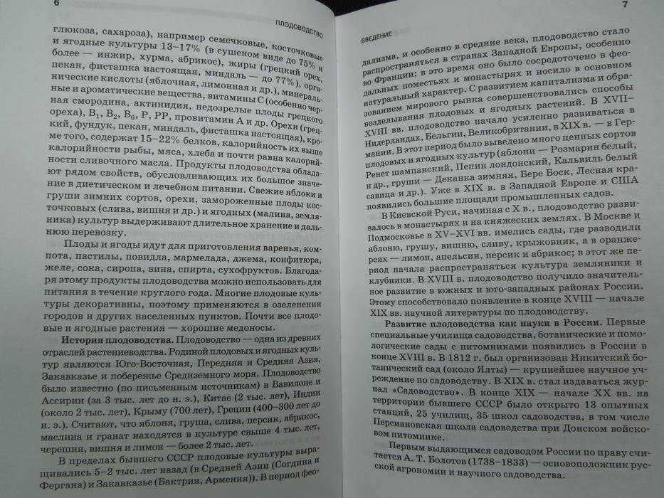 Сочинение на тему «мой любимый писатель лермонтов»
