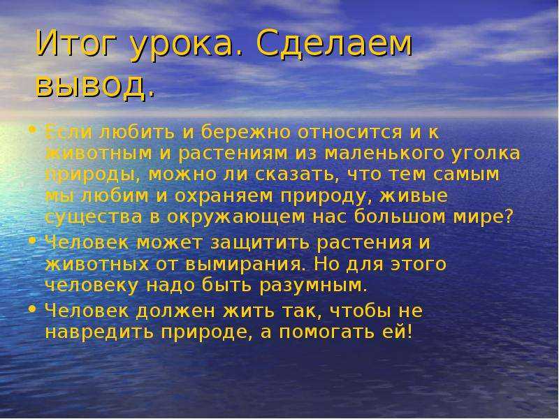 Сочинение мой любимый уголок природы (5, 6, 7, 8, 9 класс)