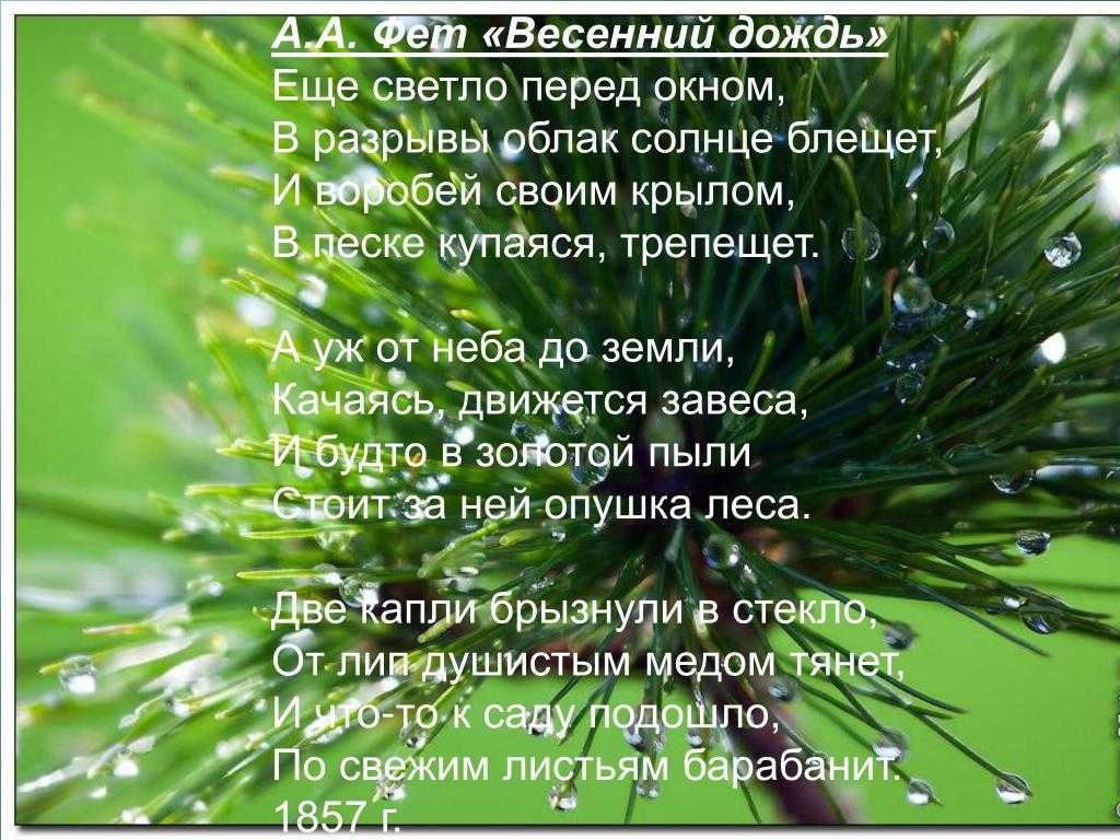 Авторское сочинение на тему весенний дождь 5 класс