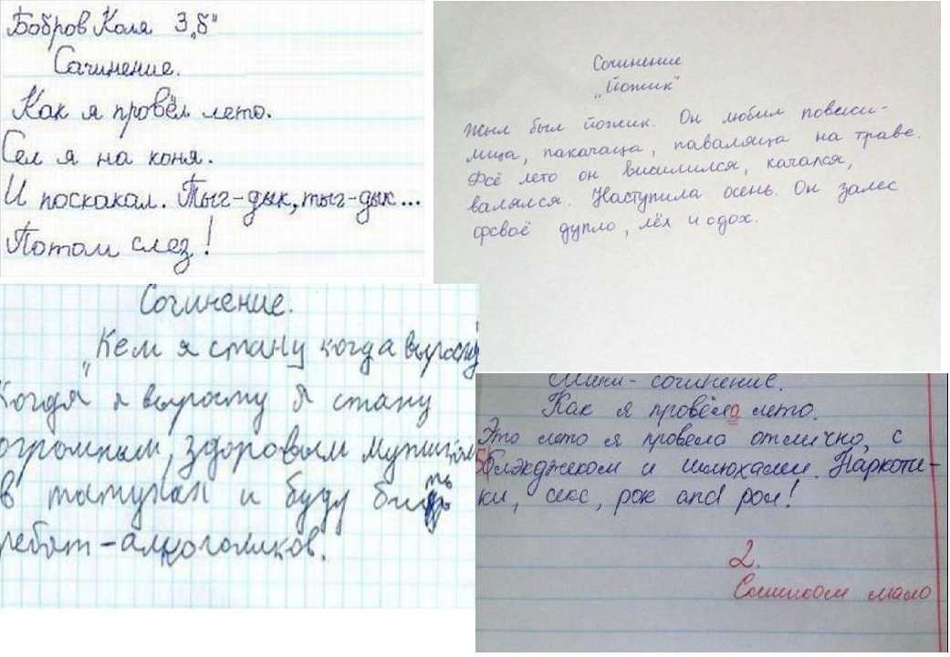 Летом я отдыхала в деревне у бабушки - обзортека