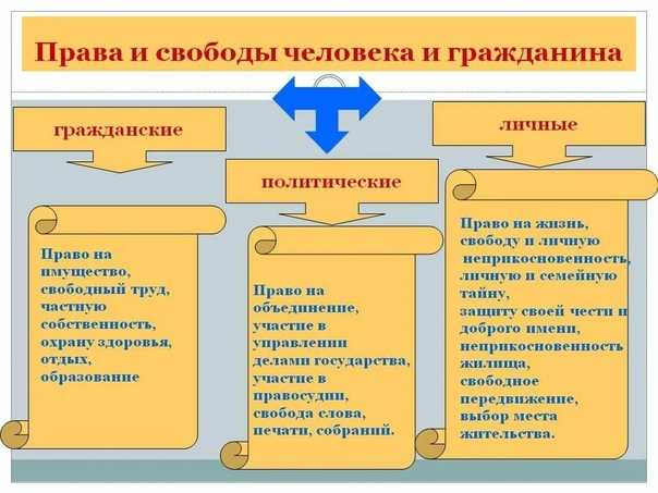 Сочинение что я люблю