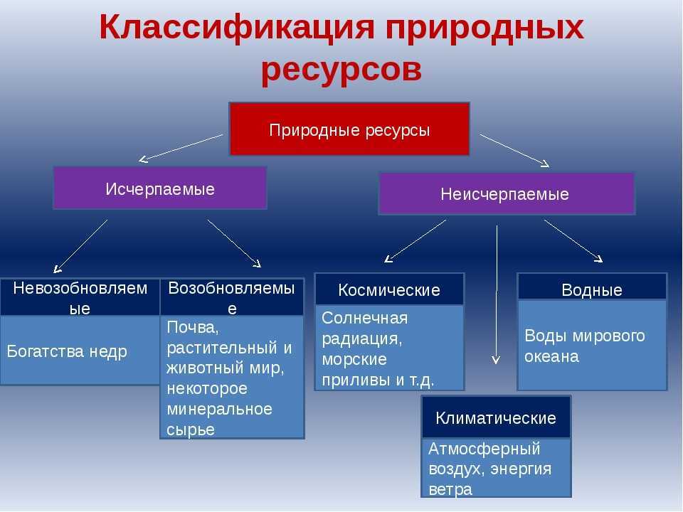 "красота родной природы": топ-7 лучших сочинений 2023 года!
