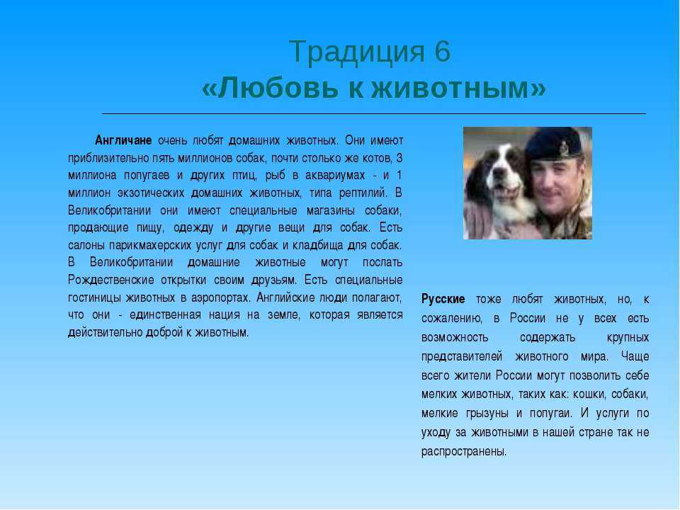 Человек и природа неразрывно связаны между собой. человек и природа неразделимы. мы неразрывно связаны с окружающим нас животным …