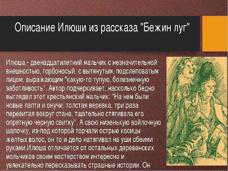 О чем рассказывал илюша (какие истории рассказывал илюша) в рассказе бежин луг тургенева - сочинить.ру
