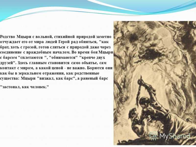 Природа в поэме м.ю. лермонтова «мцыри» - описание и роль пейзажа