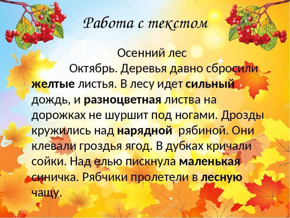 «хорошо осенью в лесу»: 8 сочинений 2024 года
