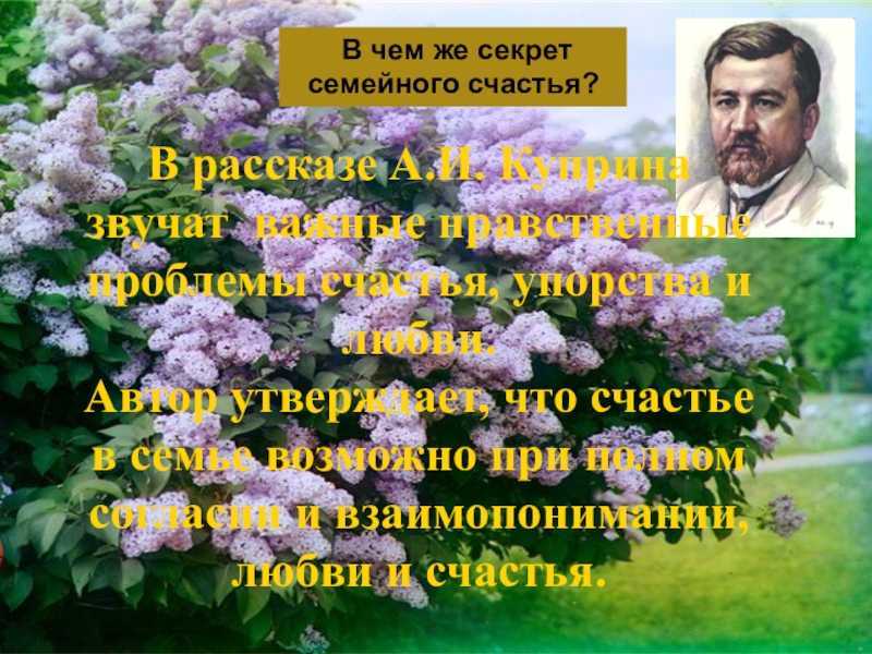Сочинение куст сирени по рассказу куприна
