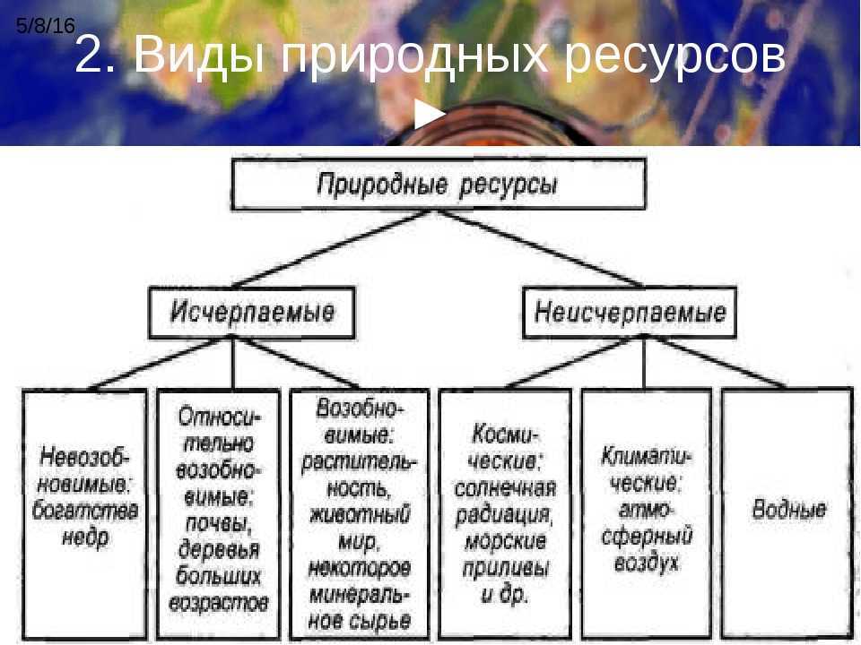 Сочинение на тему: берегите природу (3 варианта и 9 похожих топиков)