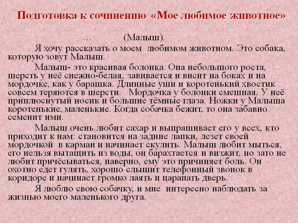 Животное – лучший друг человека, так часто говорят в фильмах, пишут в сказках, и так происходит в жизни Вот и у меня есть такой четвероногий друг, моя собака
