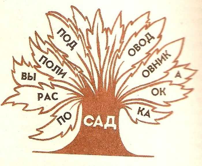 Дерево родственных слов рисунок: дерево с однокоренными словами для учеников 3 класса в картинках — гбу цспсид «печатники»