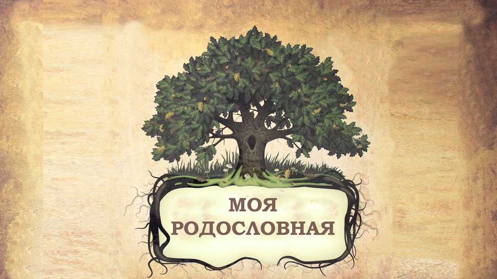 Сочинение моя родословная 6 класс по русскому языку