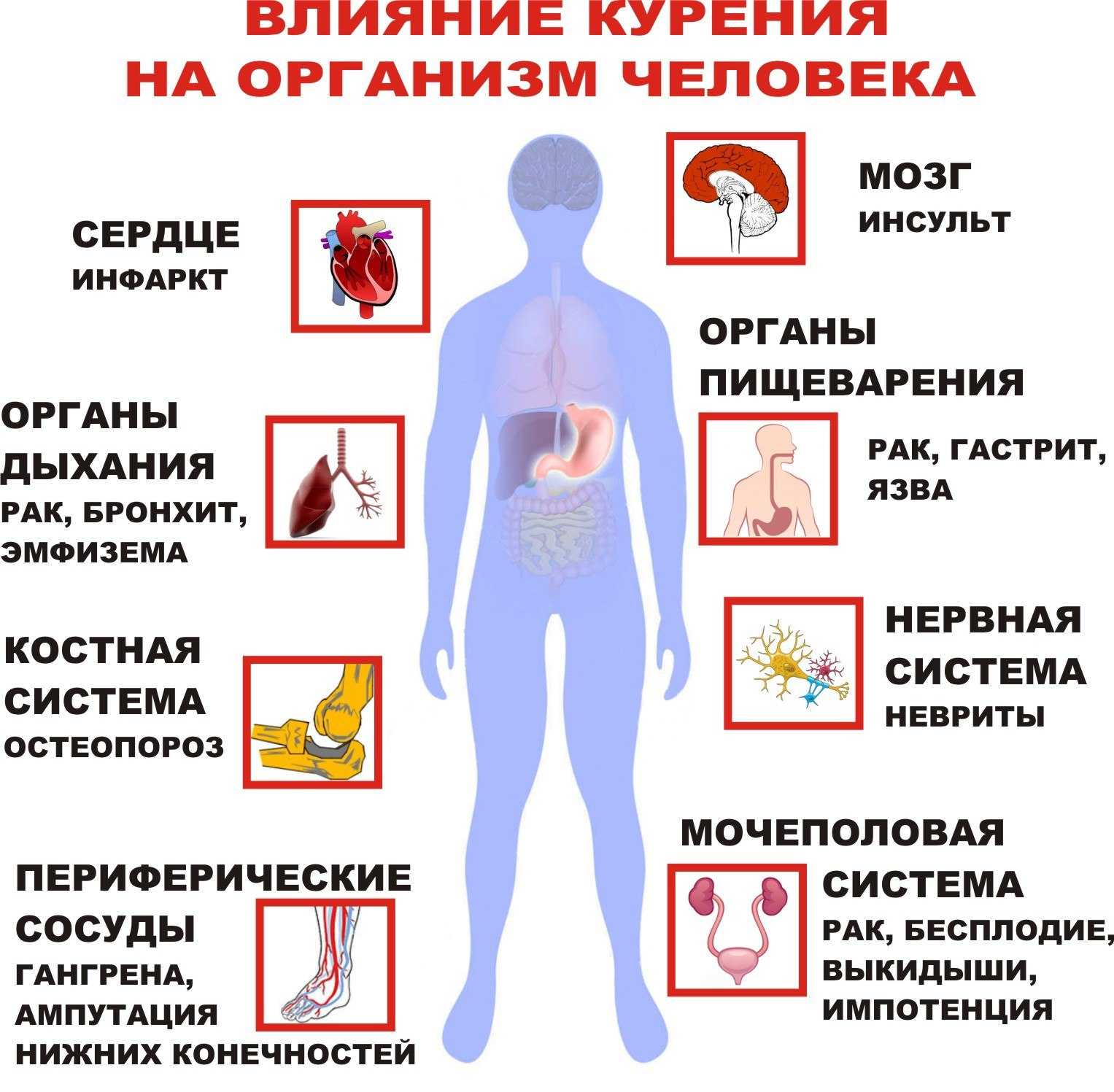 8 сочинений на тему «курение вредит здоровью»