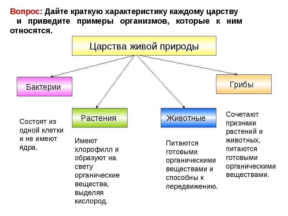 Виды растений классификация примеры