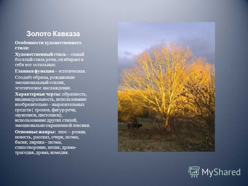 Сочинение на тему «мой любимый уголок природы» - rumozg