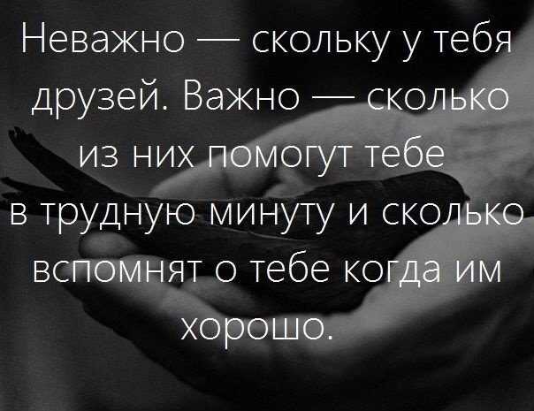 Эссе о дружбе в 50/100/150/500 слов | путеводитель по экзамену