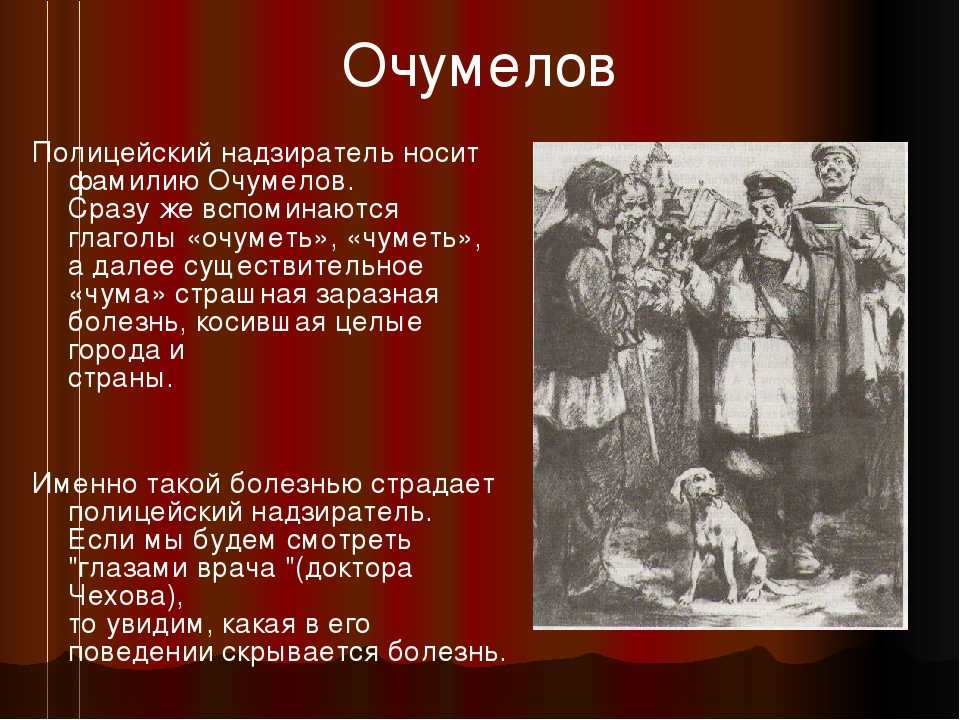 Сочинение хамелеон (по рассказу чехова, аргументы, 6-7 класс)