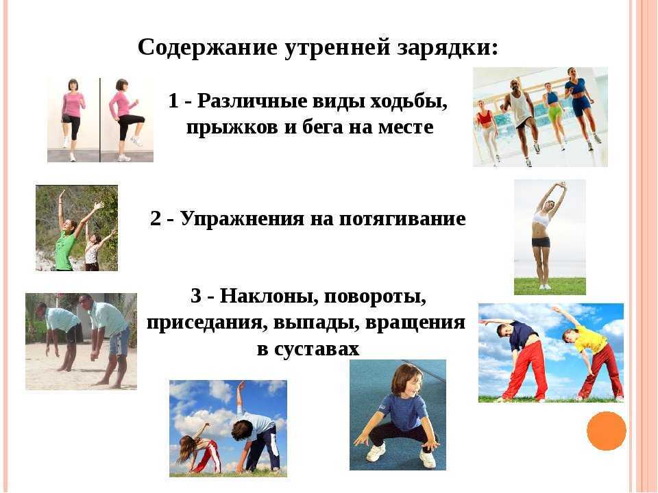 8 сочинений на тему «мой любимый цветок» для 5 класса