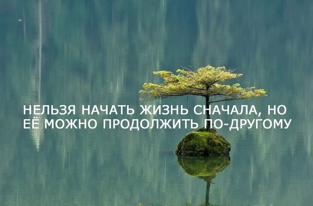 Авторское сочинение на тему успешный человек - сочинить.ру