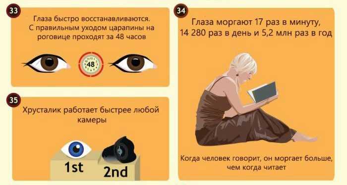Сочинение-описание картины «осенний день. сокольники», левитан (2 варианта - кратко и подробно)