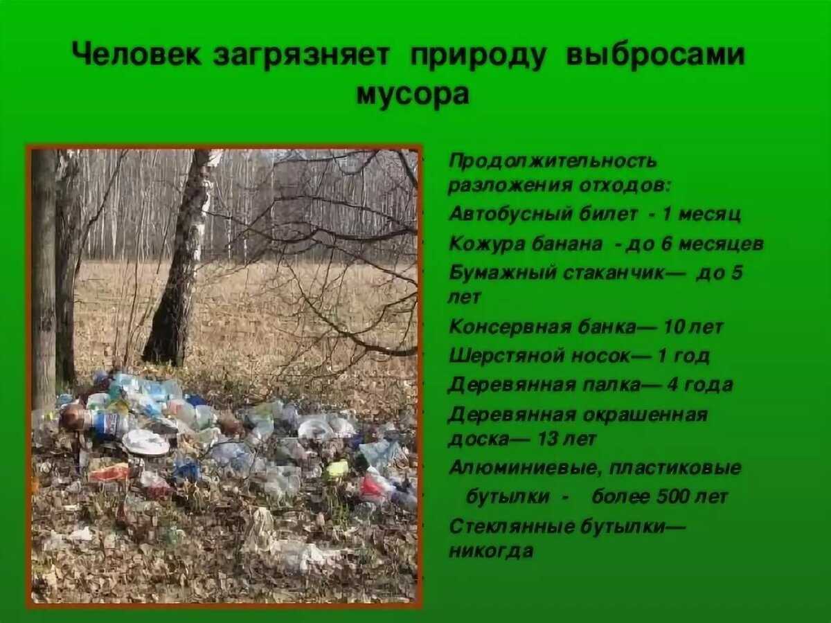 Русская природа в изображении тютчева и фета ❤️ - тютчев
