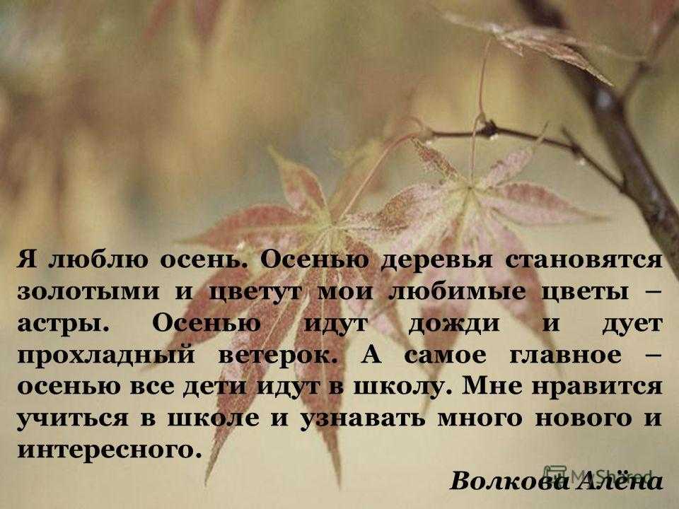 Сочинение-описание на тему «осень», 6 класс