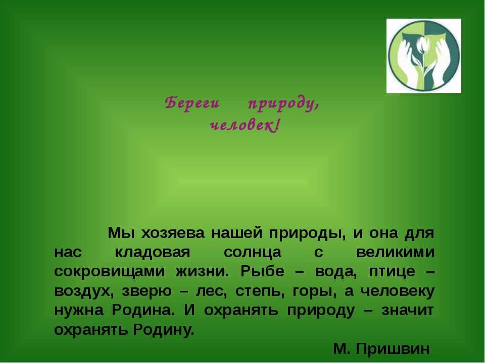 Природа: мое вдохновение и источник гармонии. эссе о значимости природы для меня