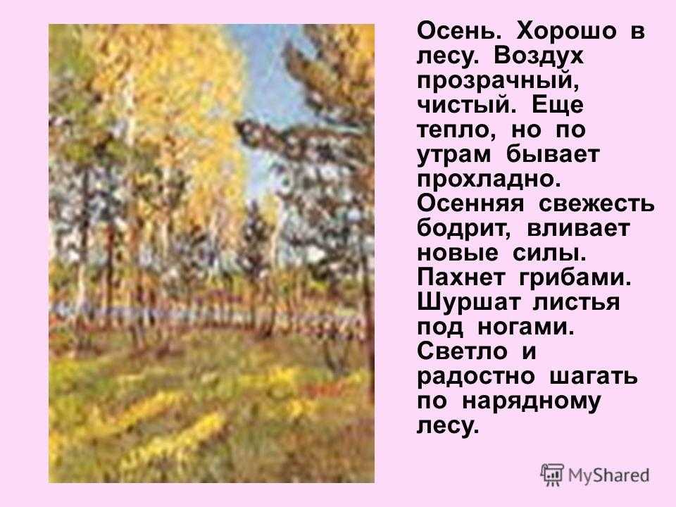 Сочинение-описание «лес летом» или «летний лес» ❤️ - сочинения на свободную тему