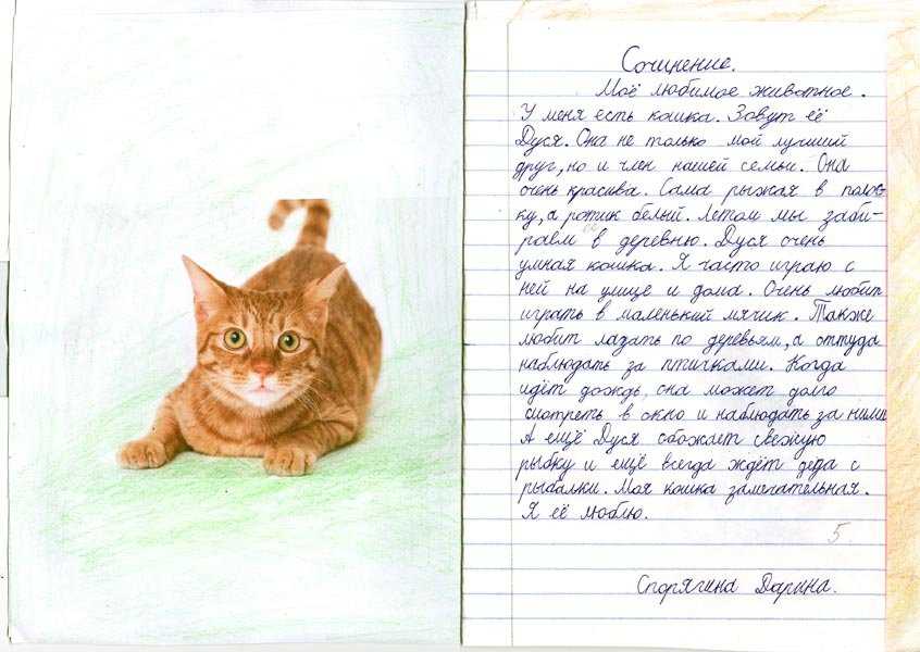 Мой друг — собака: сочинение-рассуждение 9.3 огэ