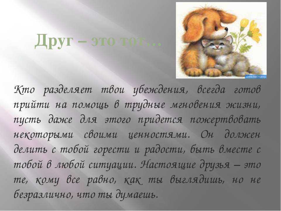 Сочинение мой лучший друг  (описание внешности)