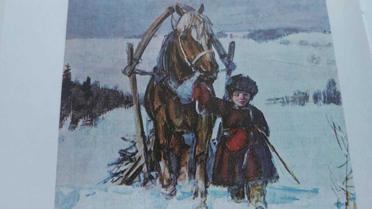 Сочинение санкт-петербург - мой город