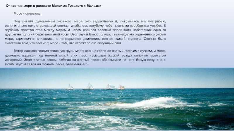 Сочинение лето на море (поездка на море). сочинение как я провел лето на море путешествие семьей на море рассказы