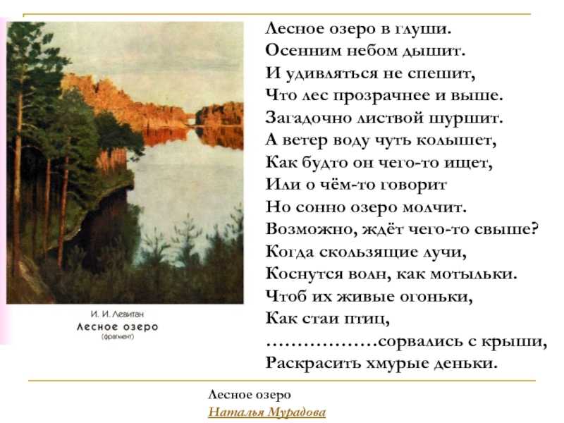 Описание лесного озера - примеры сочинения