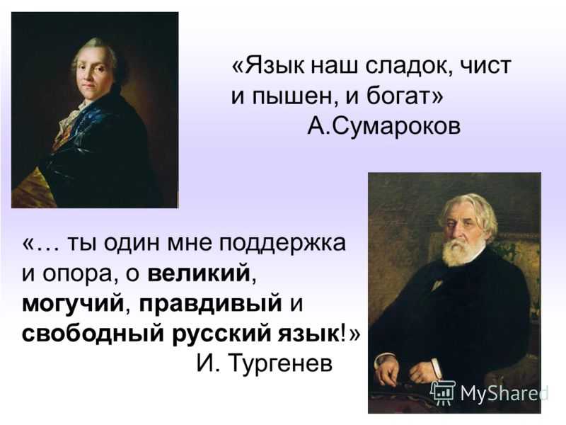 Русский язык это определение для сочинения