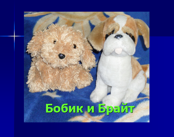 Сочинение про домашнего питомца собаку