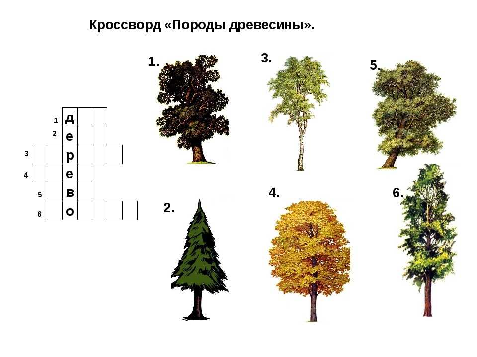 Деревья: картинки, сказки и развивающие задания для детей.