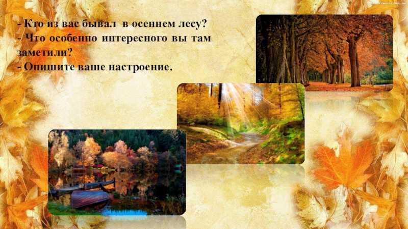 Сочинение на тему "зимний лес"
