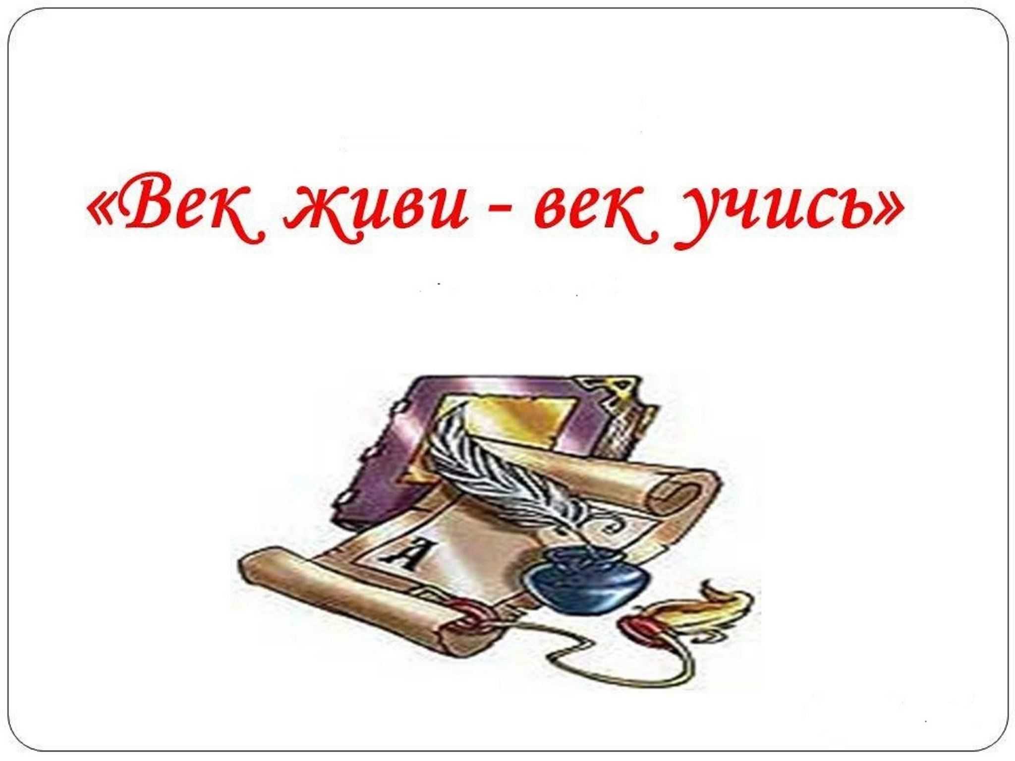 "век живи век учись": топ-7 лучших сочинений 2023 года!