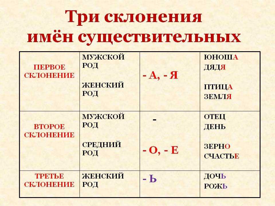 Имя существительное как части речи общая характеристика – наумёнок