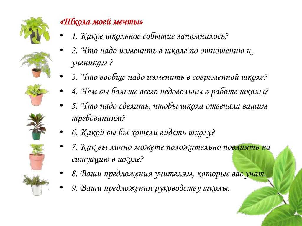 Сочинение на тему "моя мечта".