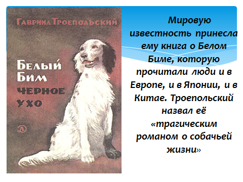 Белый бим черное ухо: для читательского дневника, анализ повести, краткий пересказ