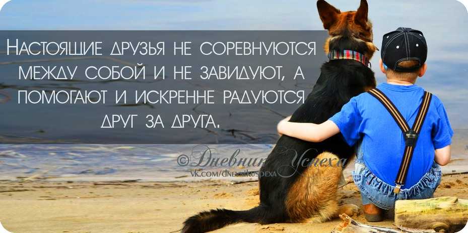 Сочинение что такое настоящая дружба